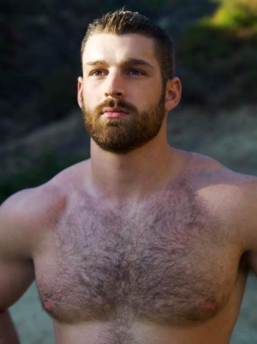 Something bout a big guy with beard n sexy hairy chest!! WOOF; Men 